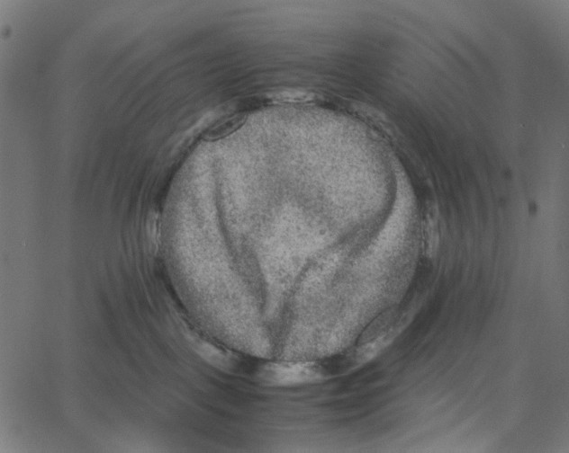 X0000067360093200604281736