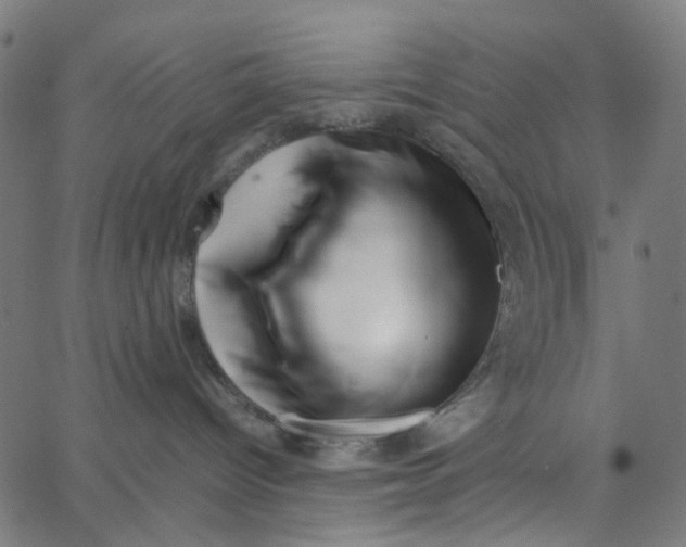 X0000067360096200604281736