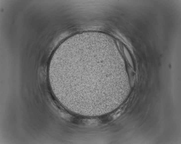 X0000067360107200604281735