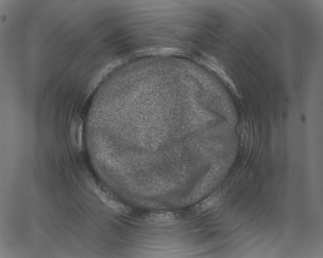 X0000067360110200604281735