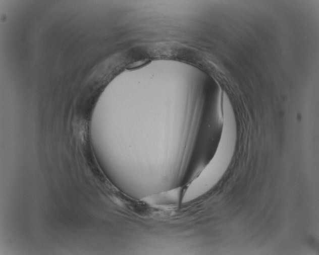 X0000067360125200604281735