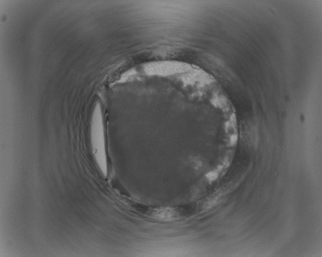 X0000067360127200604281735