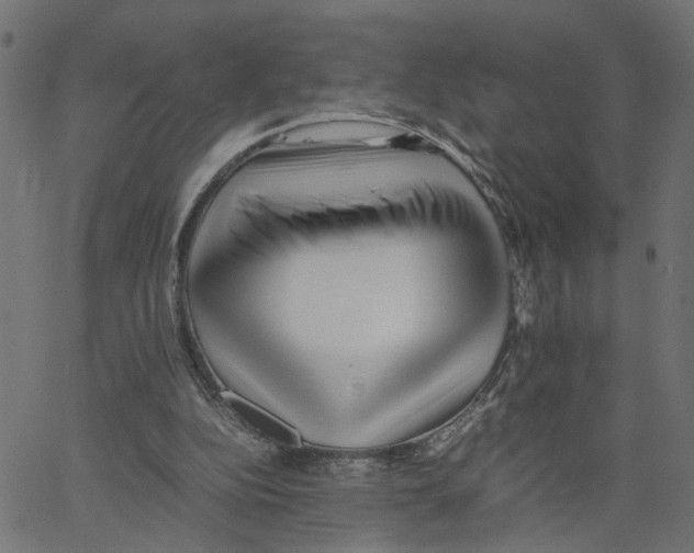 X0000067360152200604281734