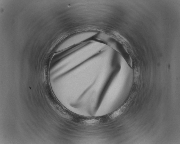 X0000067360158200604281734