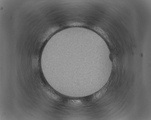 X0000067360159200604281734
