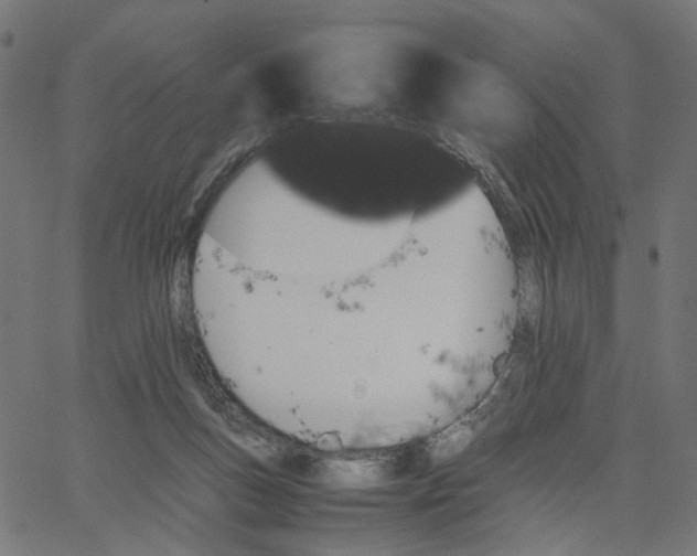 X0000067360167200604281734