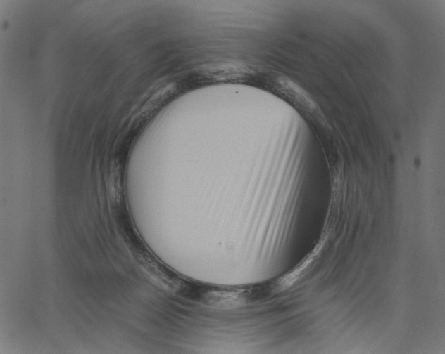 X0000067360170200604281734