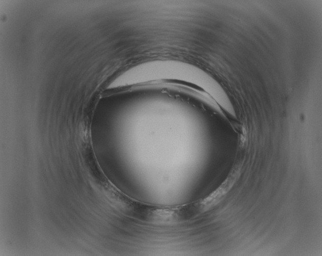 X0000067360176200604281734