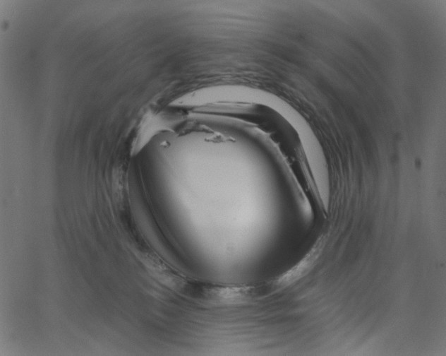 X0000067360184200604281734