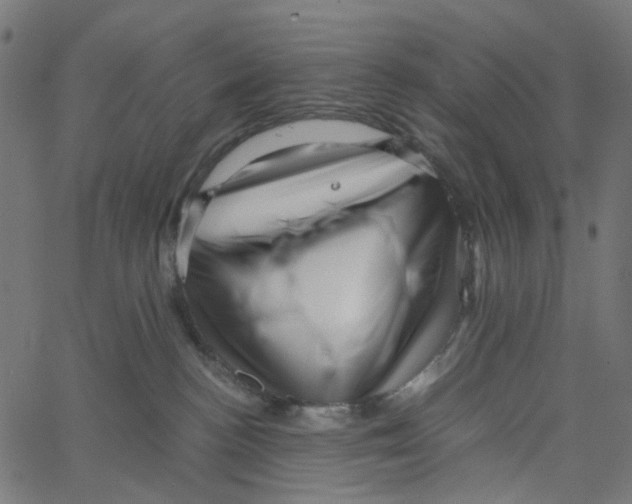X0000067360188200604281734
