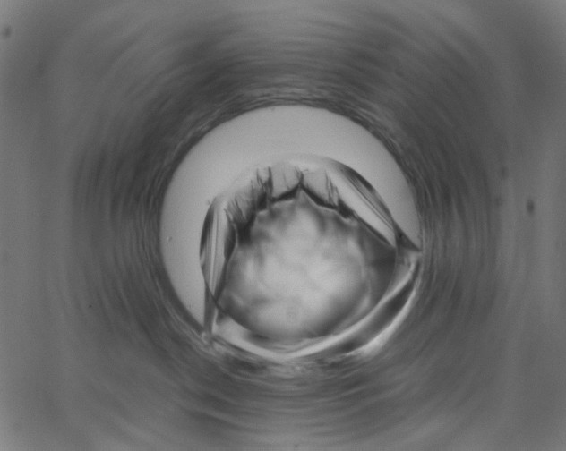 X0000067360190200604281734