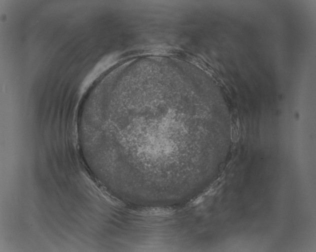 X0000067360198200604281734