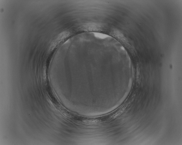 X0000067360202200604281734