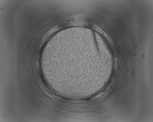 X0000067360203200604281733