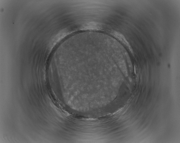 X0000067360204200604281733
