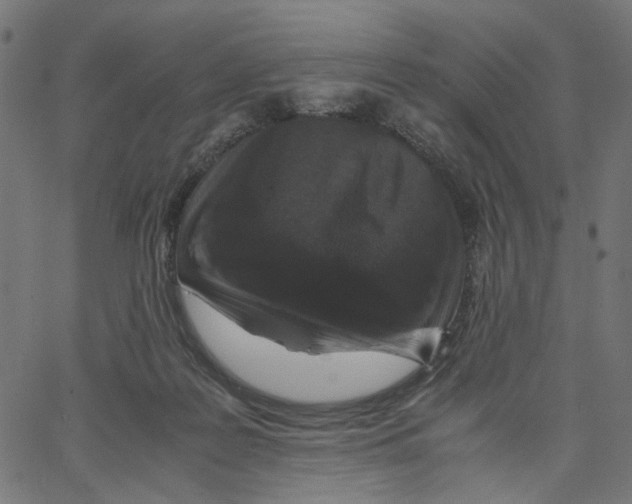X0000067360219200604281733