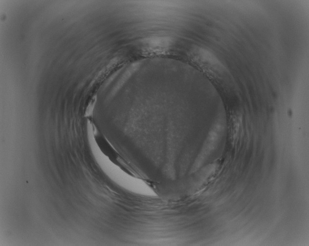 X0000067360224200604281733