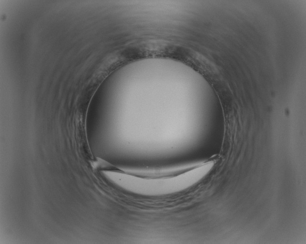 X0000067360225200604281733