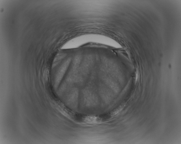 X0000067360227200604281733