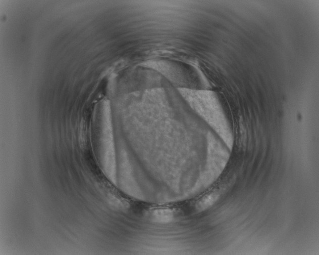 X0000067360228200604281733