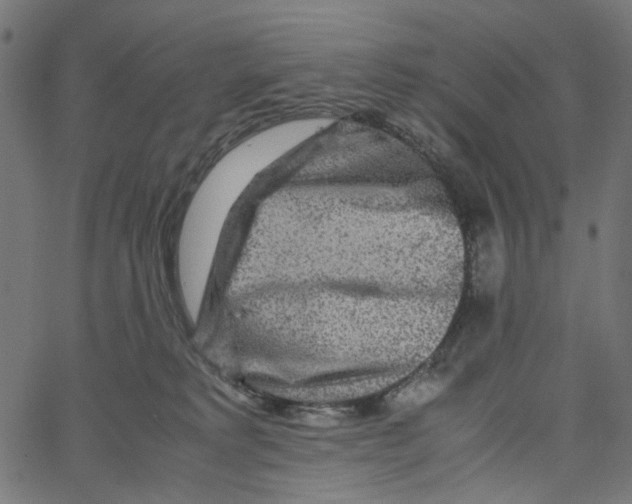 X0000067360229200604281733