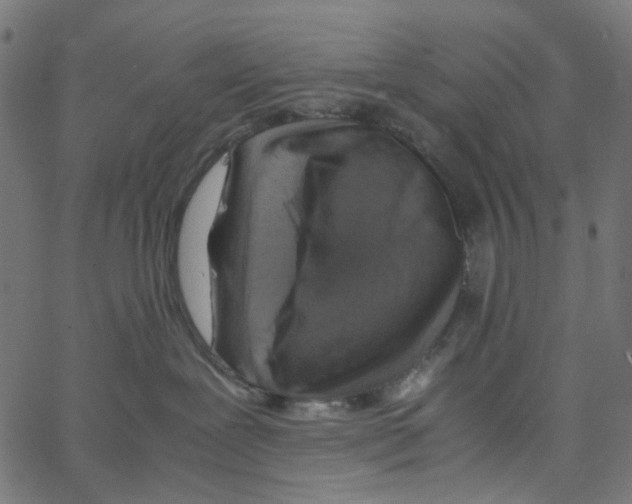 X0000067360239200604281733