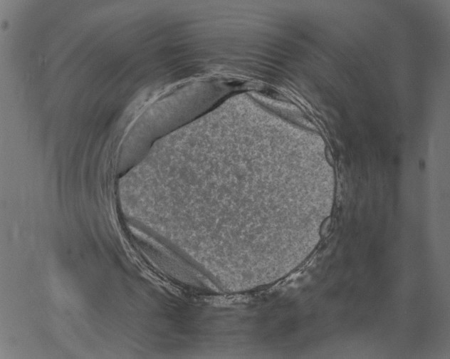 X0000067360241200604281732