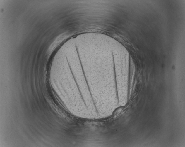 X0000067360242200604281732
