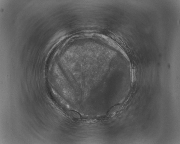 X0000067360243200604281732