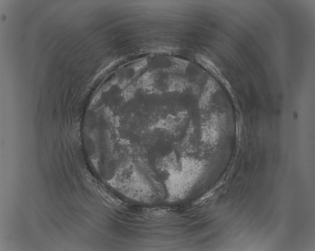 X0000067360249200604281732
