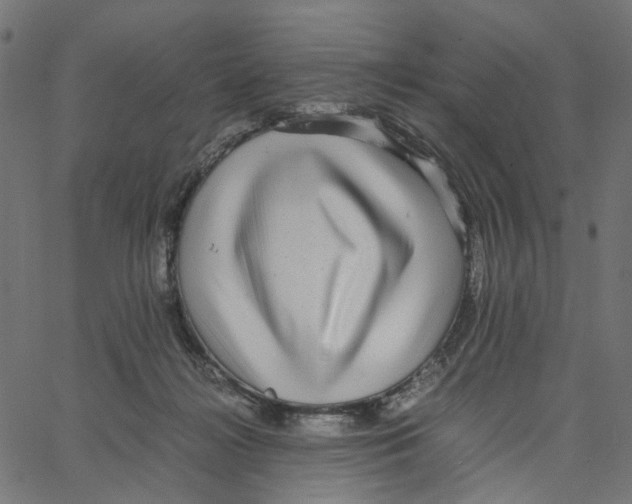 X0000067360268200604281733