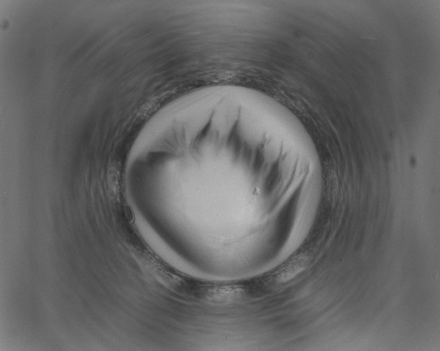 X0000067360274200604281733