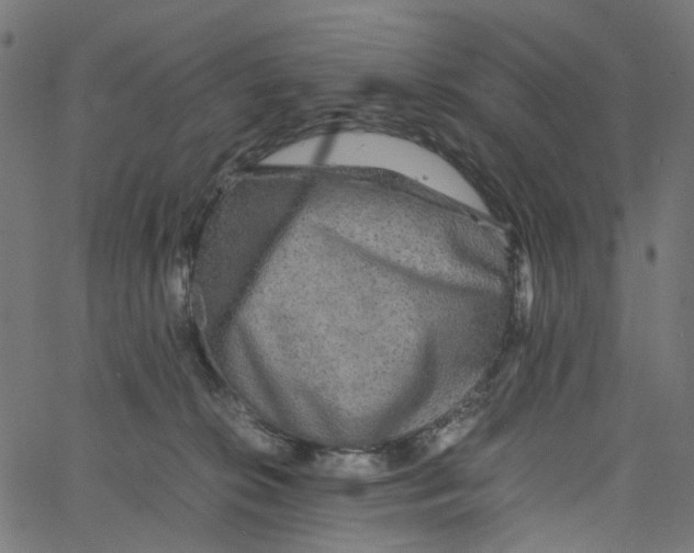 X0000067360276200604281733
