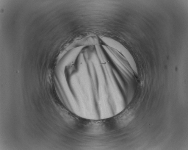 X0000067360280200604281733