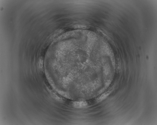 X0000067360281200604281733