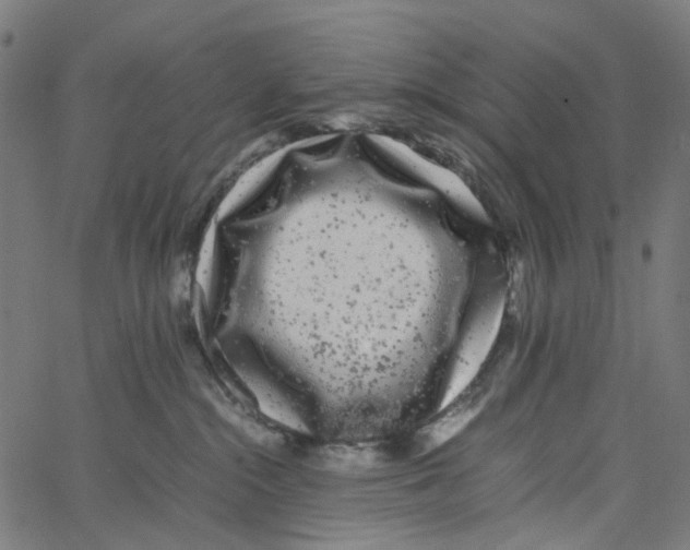 X0000067360284200604281733