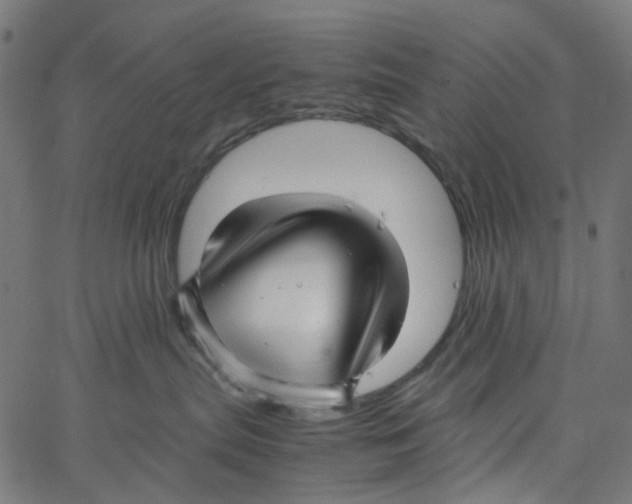 X0000067360287200604281733