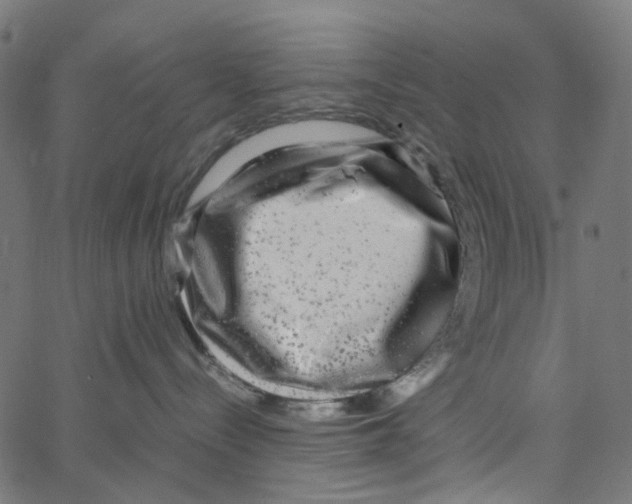X0000067360288200604281733