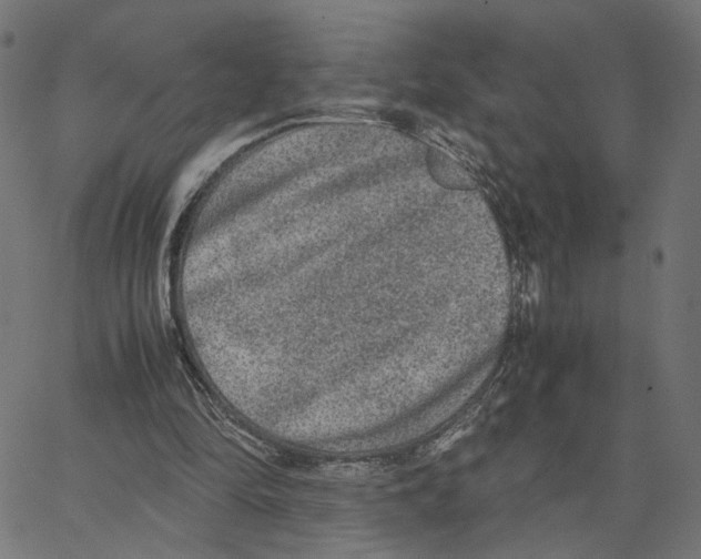 X0000067360294200604281732