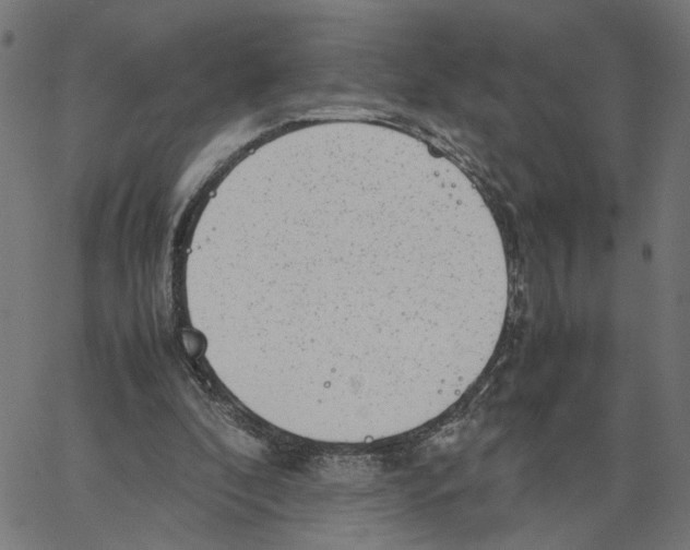 X0000067360296200604281732
