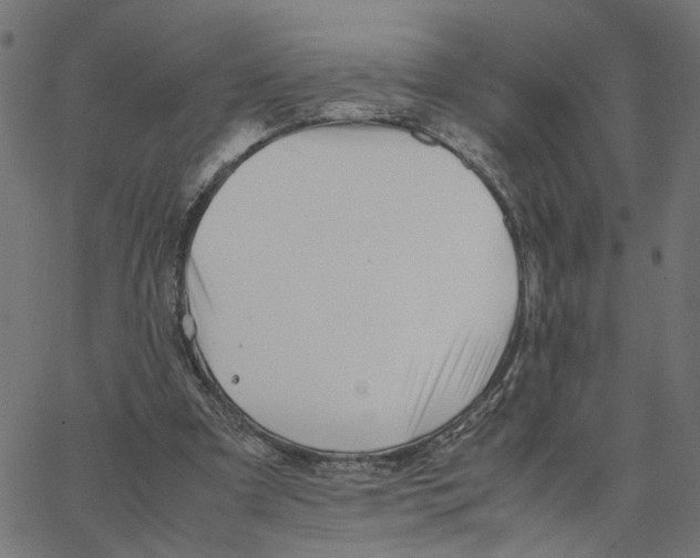 X0000067360297200604281732