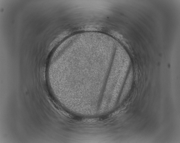 X0000067360299200604281732