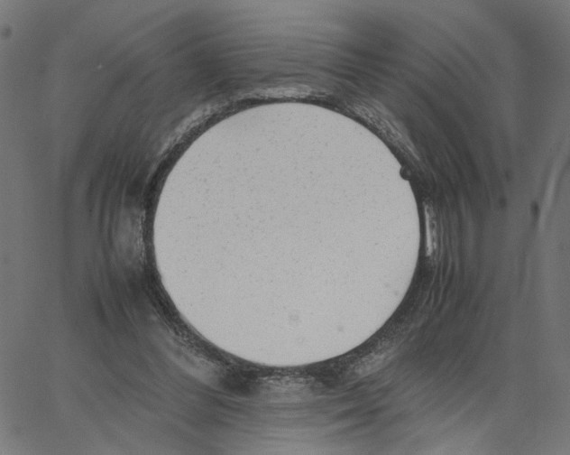 X0000067360300200604281732