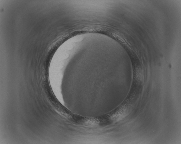 X0000067360303200604281732