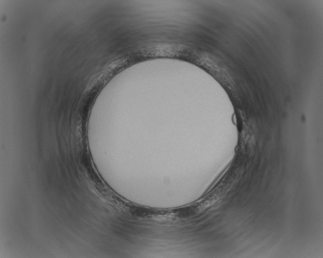 X0000067360306200604281732