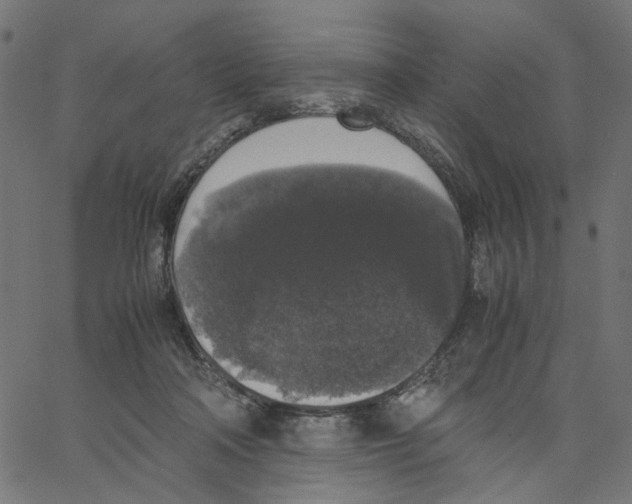 X0000067360314200604281732