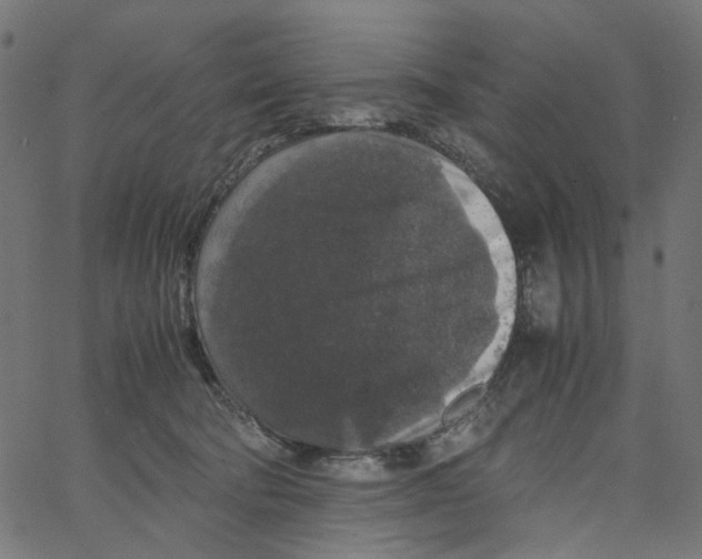 X0000067360322200604281732