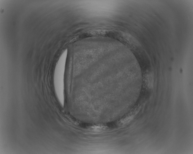 X0000067360323200604281732