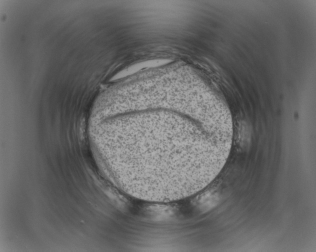 X0000067360326200604281731