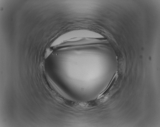 X0000067360329200604281731